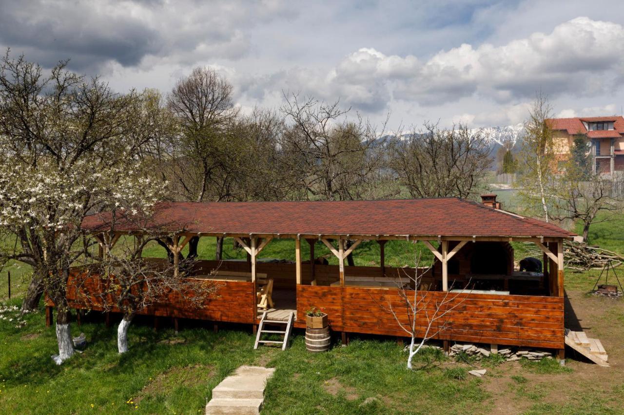 Transylvanian House Drumu Carului Exterior foto