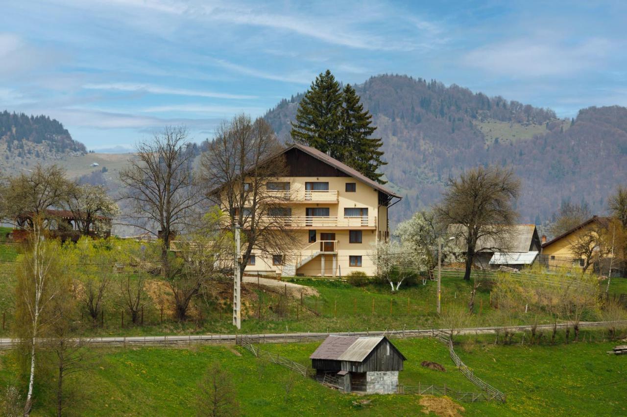 Transylvanian House Drumu Carului Exterior foto